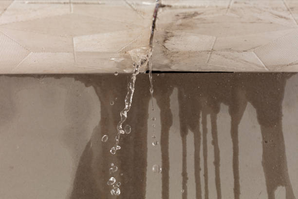 Professional Sewage Cleanup technician working in Ashland, AL